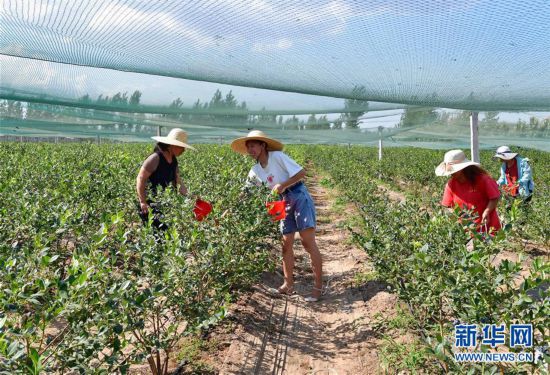 东安各庄镇最新新闻报道