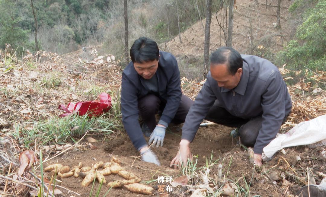 佛坪县住房和城乡建设局最新招聘细则详解