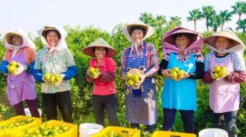 江门市食品药品监督管理局领导团队及职责概览