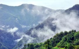 巴瓦村今日天气预报