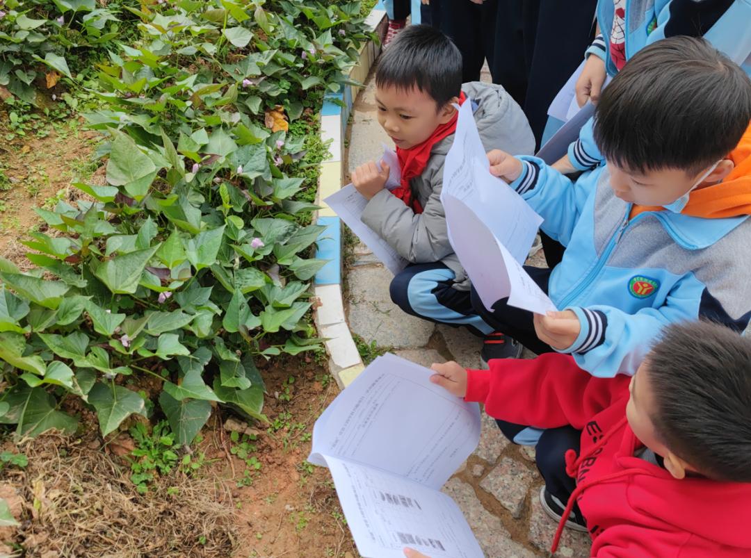 鼎湖区小学最新新闻