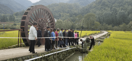 略阳县农业农村局新项目推动农业现代化助力乡村振兴