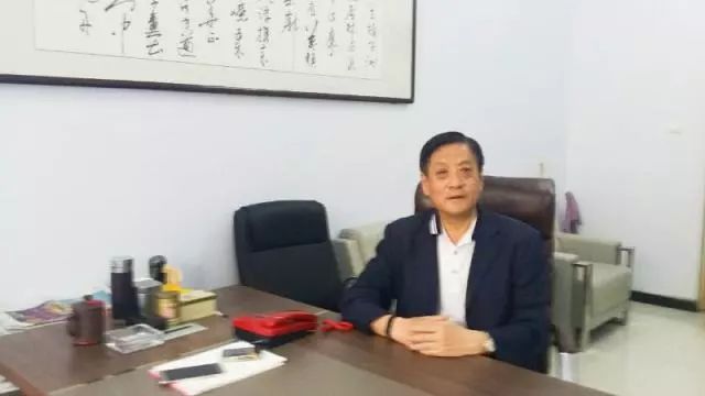 桃城区教育局最新项目概览与动态更新