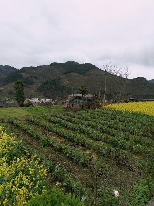 岩樟乡天气预报更新通知