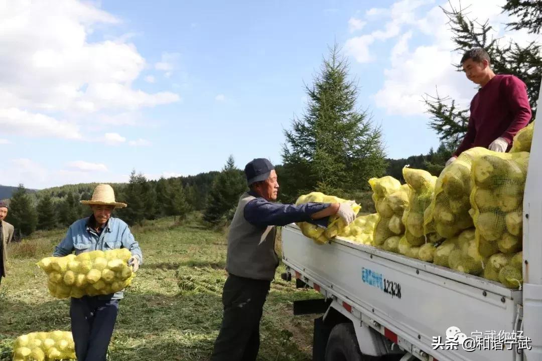 宁武县公路运输管理事业单位领导最新概况概览