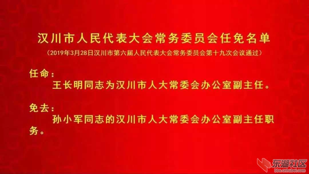 汉川市小学人事任命揭晓，引领未来教育新篇章开启