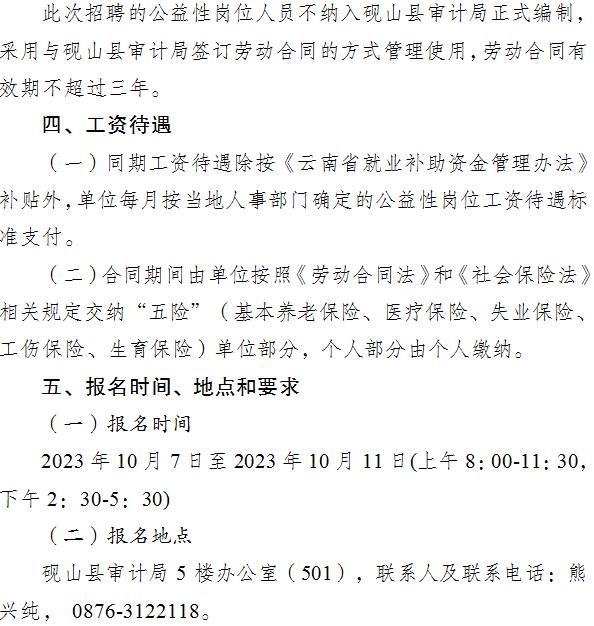 布拖县审计局招聘信息发布与招聘细节深度探讨