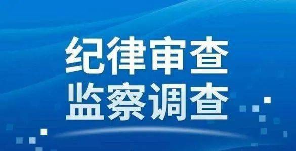 长岛县科学技术和工业信息化局最新招聘信息概览