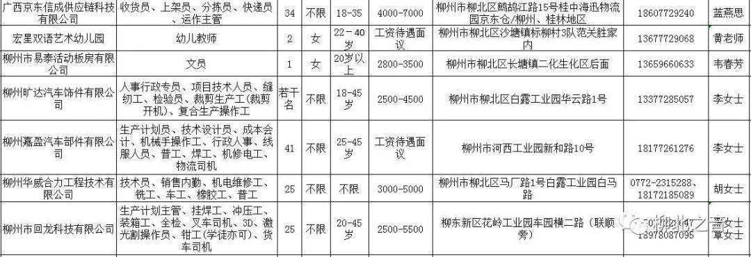 柳北区人民政府办公室最新招聘启事概览