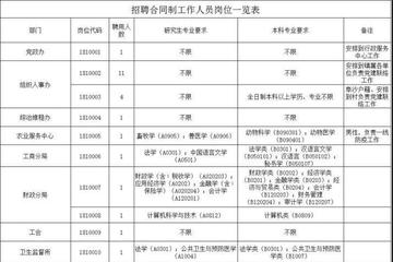 阜沙镇最新招聘信息全面解析