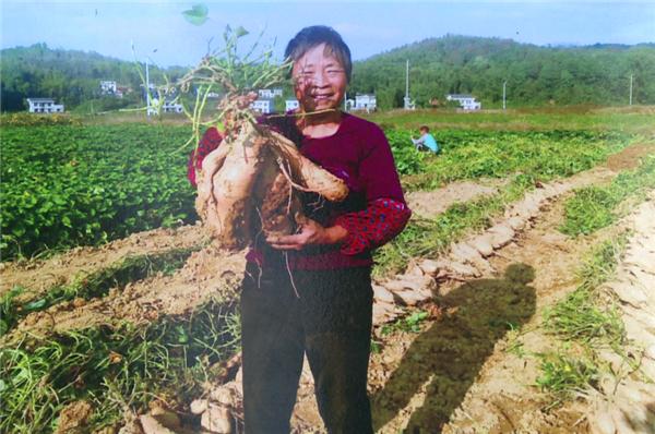 湘潭县科技局人事任命激发创新活力，推动县域高质量发展新篇章开启