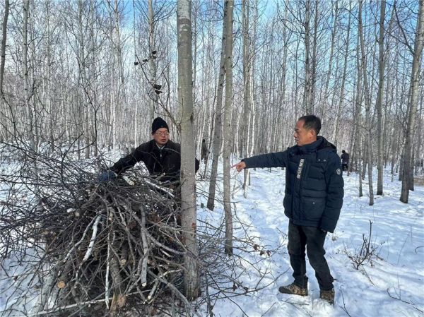 桦皮窑林场加强交通建设，现代化交通网络助力林区通达能力提升